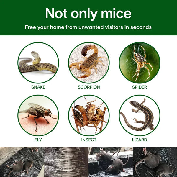 Household Mon-woven Strong Trap Sticky Mouse Blanket